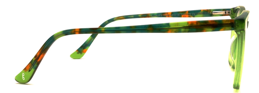 Optica 81008