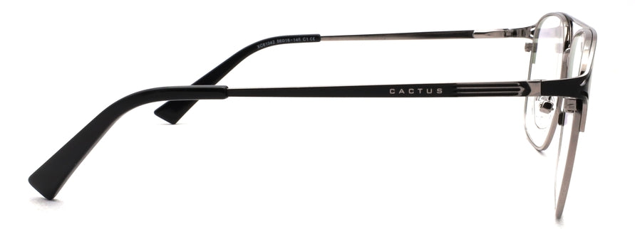 Cactus XC61042