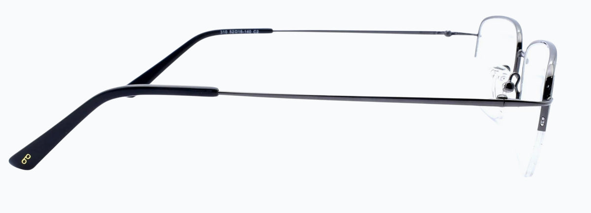 Optica 310