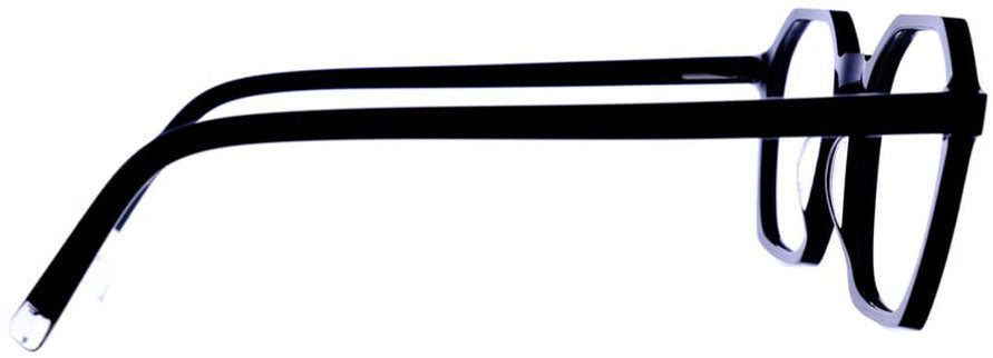 Cactus RGE037