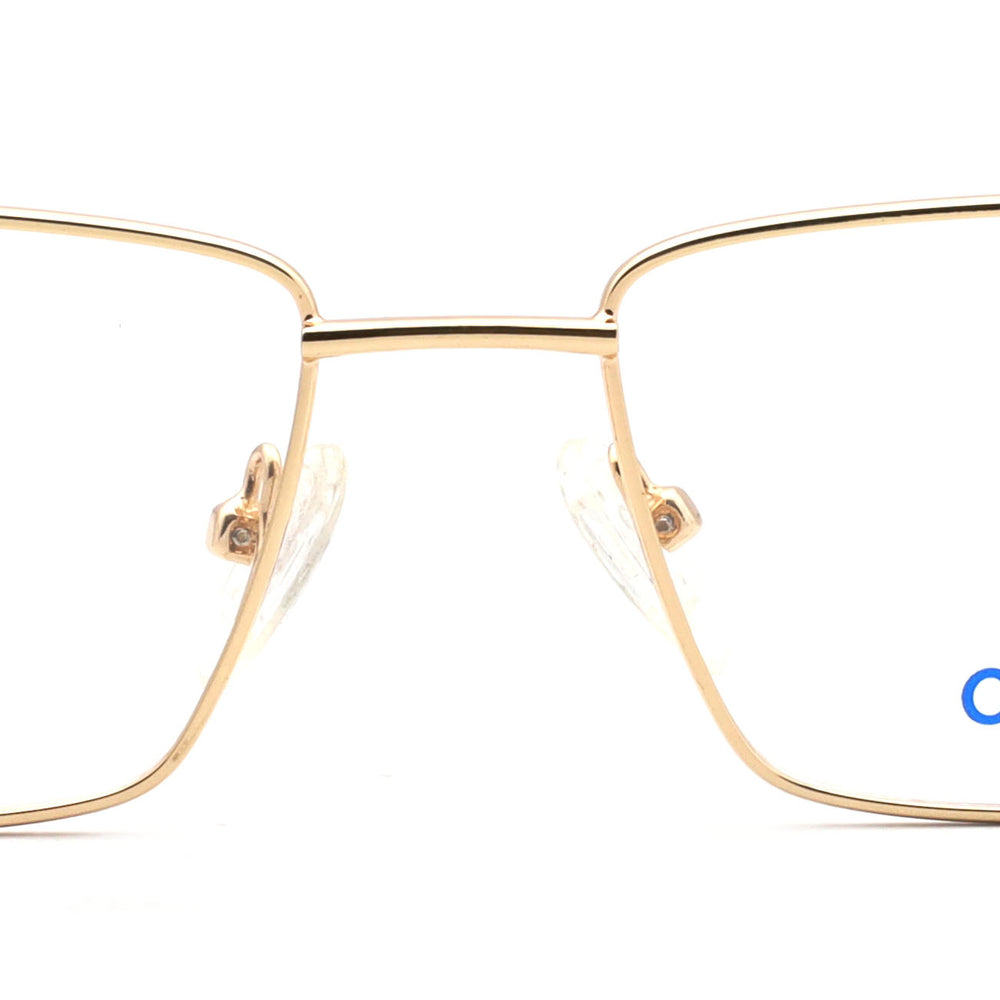 Optica 314