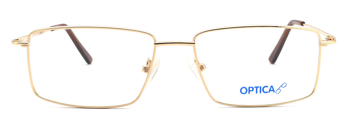 Optica 314