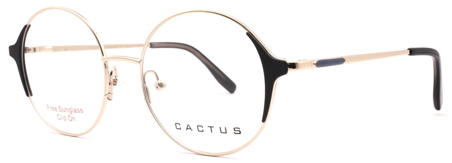 Cactus 69957