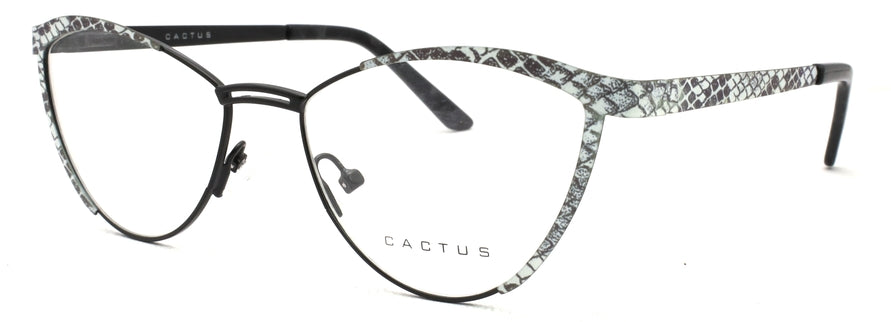 Cactus 8069
