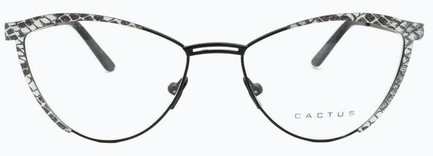 Cactus 8069-1