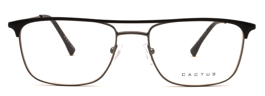 Cactus 81003