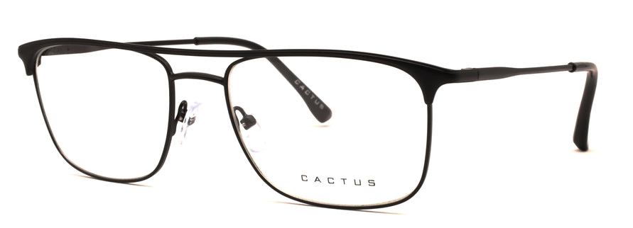 Cactus 81003