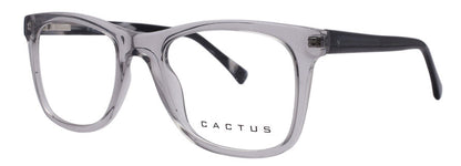 Cactus 883207