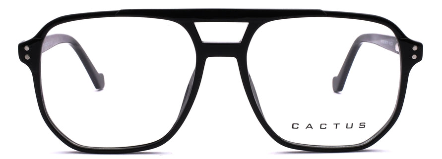 Cactus 884708