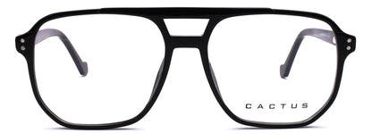 Cactus 884708