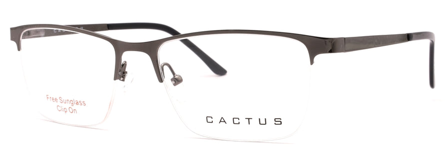 Cactus C8022