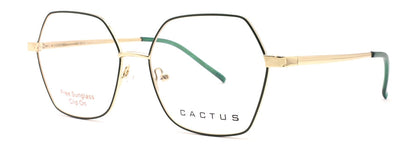 Cactus C8041