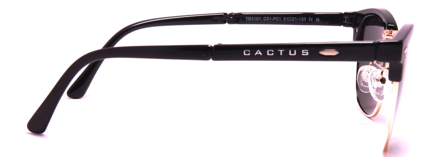Cactus TB3101