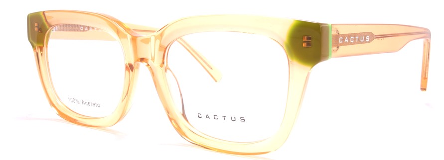 Cactus FD1111