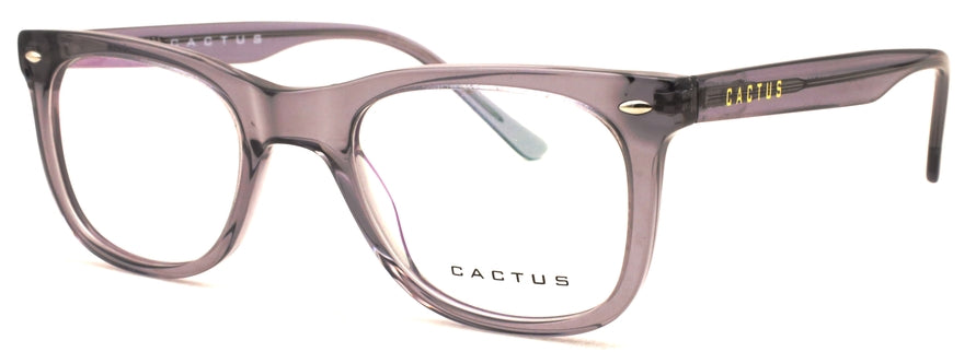 Cactus Atmosphere