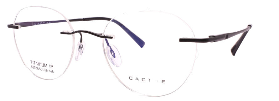 Cactus 63036