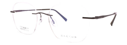 Cactus 63037