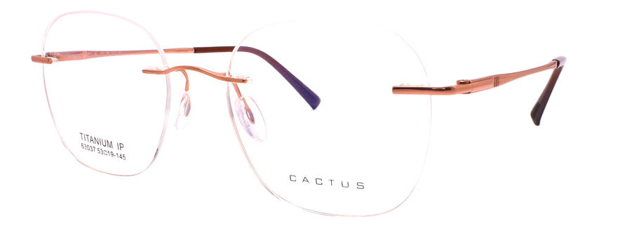 Cactus 63037