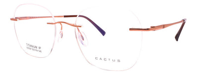 Cactus 63037