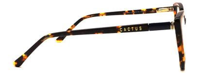Cactus Dazzling