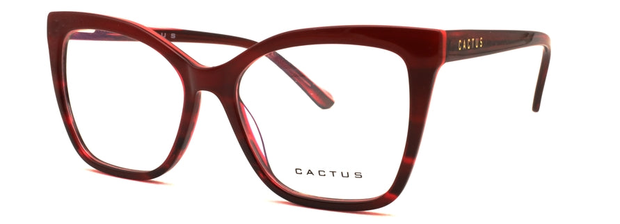 Cactus Solstice