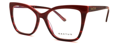 Cactus Solstice