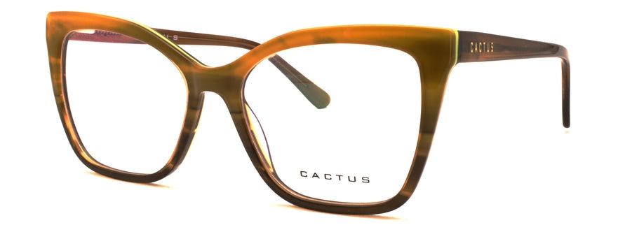 Cactus Solstice