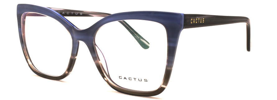 Cactus Solstice