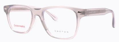 Cactus 52610
