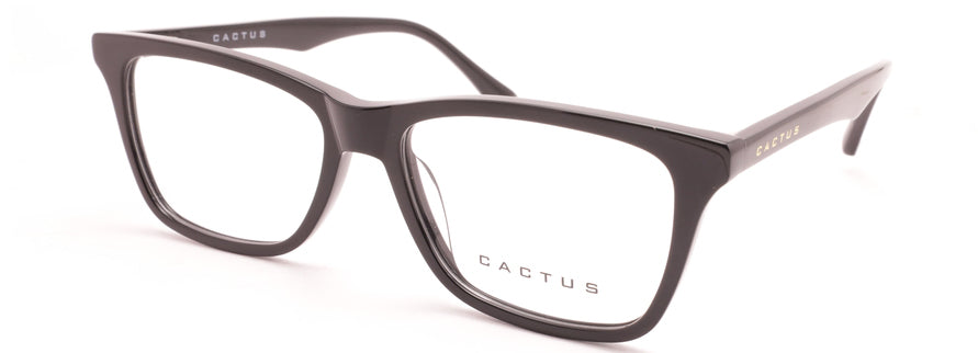 Cactus RDR5228F