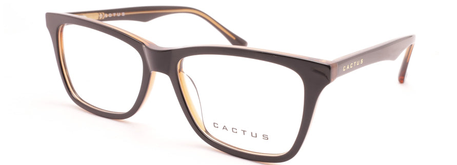 Cactus RDR5228F