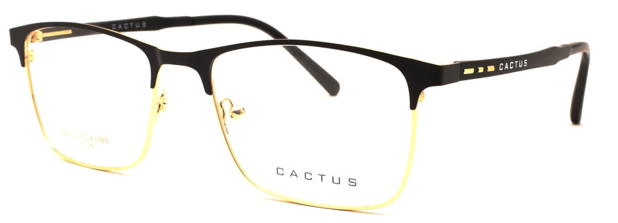 Cactus Dreamer