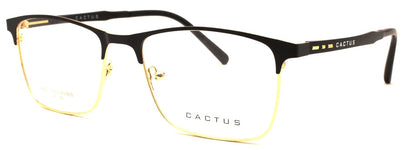Cactus Dreamer