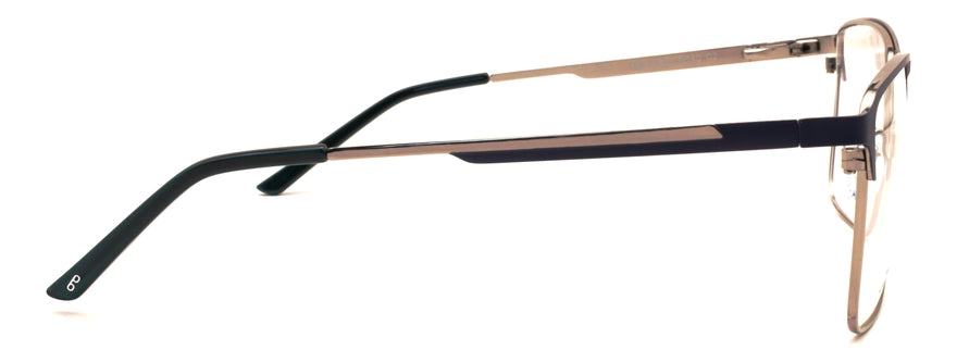 Optica Fate