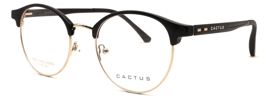 Cactus Flair