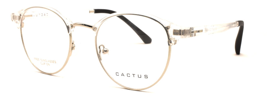 Cactus Flair