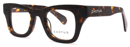 Cactus Gigsi