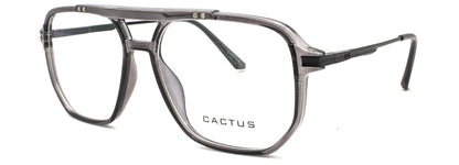 Cactus Holmes