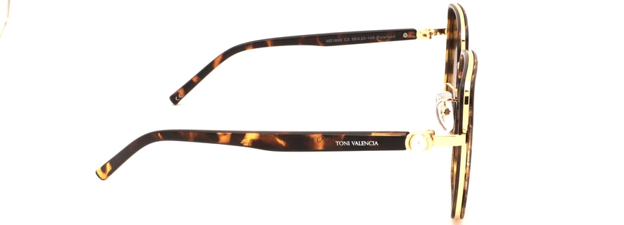 Toni Valencia MD1899