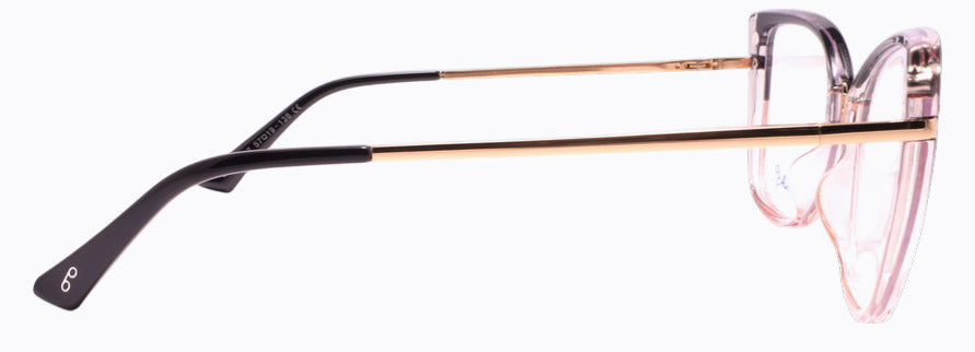 Optica 95317 Tarn