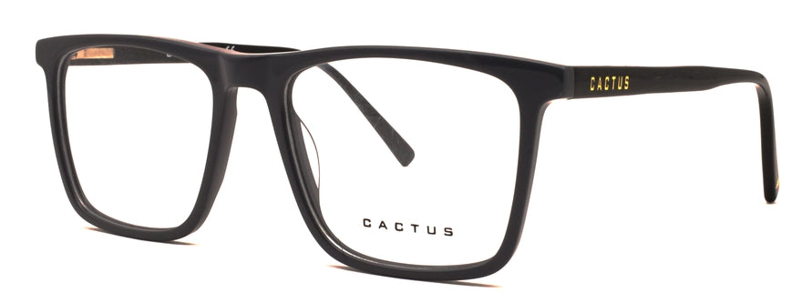 Cactus RB01