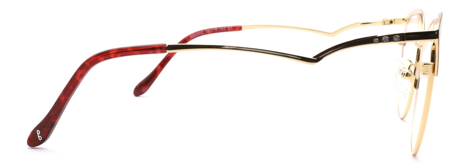 Optica 2902