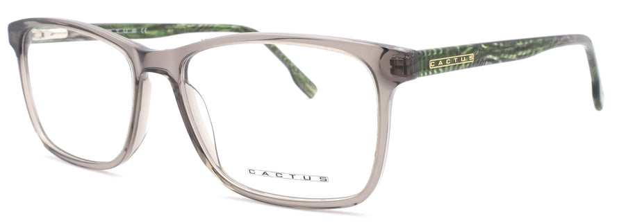 Cactus RGA062