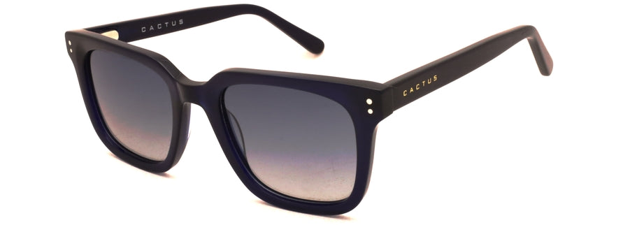 Cactus SS7401