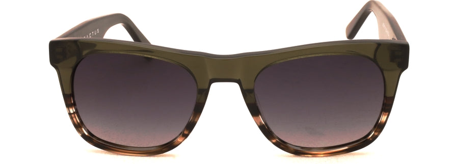 Cactus SS7403