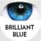 Swatch Image