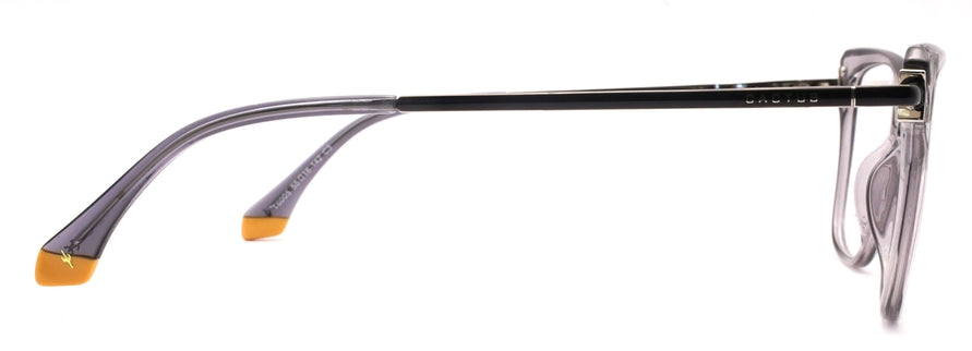 Cactus T6005