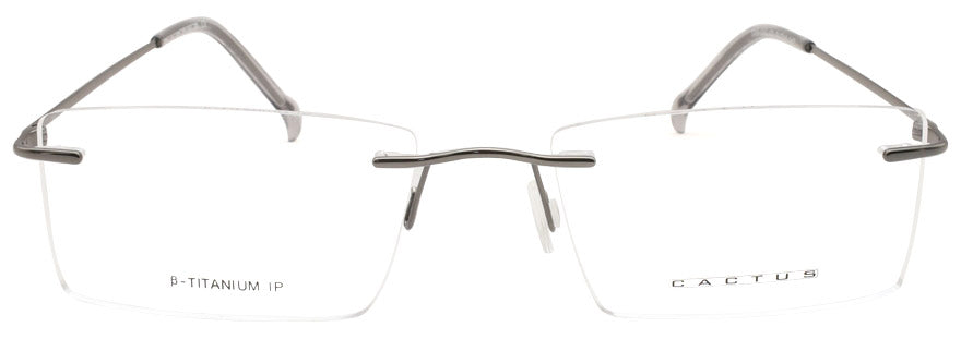 Cactus Tar-012