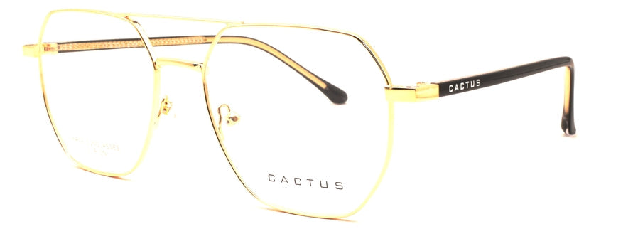 Cactus Verve