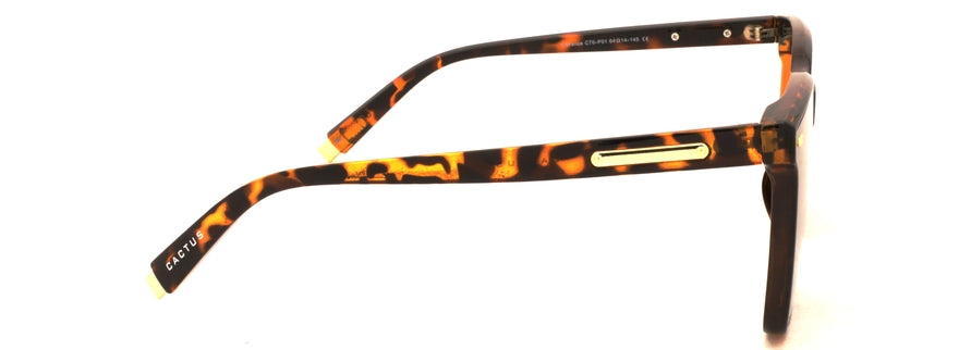 Cactus Vibrance